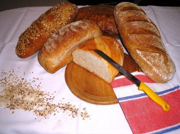 Pekárske výrobky Renáta Tokovicsová - PEKARIS 1